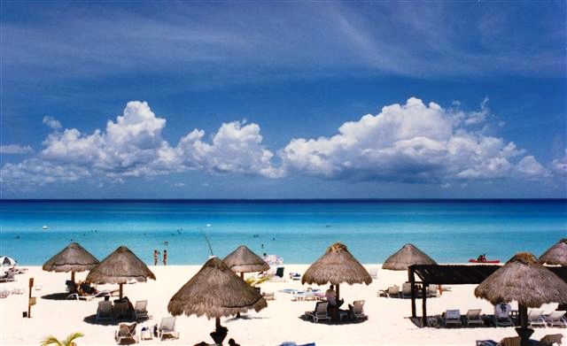 Learn Spanish in Playa del Carmen - Caledoniaworldwide.com Learn Spanish in Playa del Carmen - Caledoniaworldwide.com